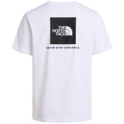 Herren-T-Shirt The North Face M Evolution Box Nse Regular Short Sleeve