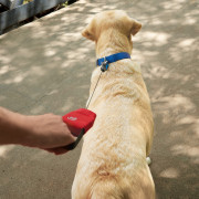 Hundeleine Nite Ize RadDog™ Retractable Pocket Leash