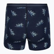 Herren funktionelle Boxershorts Icebreaker Men M 150 Anatomica Boxers BearTourAOP