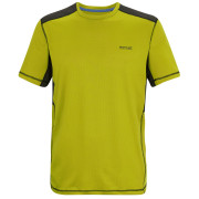 Herren-T-Shirt Regatta Virda grün DkTang/Blk