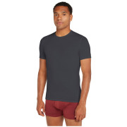 Herren-T-Shirt Icebreaker M Anatomica SS Crewe