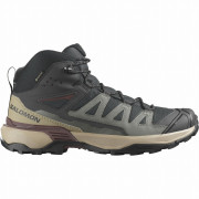 Herrenschuhe Salomon X Ultra 360 Mid Gore-Tex