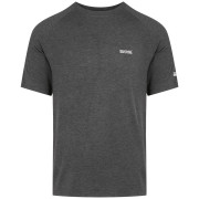 Herren-T-Shirt Regatta Ambulo II grau Ash