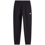 Herren-Jogginghose The North Face M Evolution Simple Dome Regular Jogger schwarz TNF BLACK