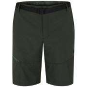 Herrenshorts MOOA Trek grün dark green