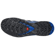 Herren Laufschuhe Salomon Xa Pro 3D V9 GTX Icon