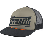 Baseballmütze Dynafit Graphic Trucker Cap hellgrau sage/0910 TABLOID