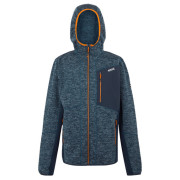 Herren Funktions-Sweatshirt Regatta Alven blau MlDenMrl/Nvy