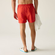 Herrenbadeanzug Regatta Mawson Swim Shorts III