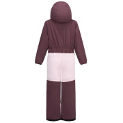 Kinder-Skianzug Dare 2b Rodeo Snowsuit Hucklbr/PkHz