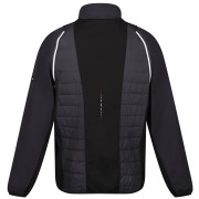 Herrenjacke Regatta Steren II Hybrid