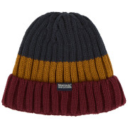 Wintermütze Regatta Davion Hat V