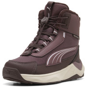 Kinderschuhe Puma Puma Evolve 2.0 Boot PS Rich Cocoa-Powde