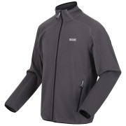Herren-Sweatshirt Regatta Hadfield