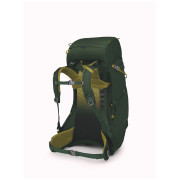 Kinderrucksack Osprey Ace 38