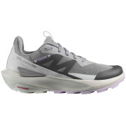 Damenschuhe Salomon Elixir Activ W grau Sharkskin / Glacier Gray / Orchid Petal