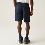 Herrenshorts Regatta Mallen Shorts