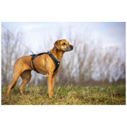 Hundeleine Curli Ultra Strong Pocket Leash