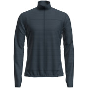 Herren-Sweatshirt Icebreaker M M 300 Descenderender LS Zip blau/grau Abyss