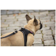 Hundeleine Curli Adjustable Leash Nylon