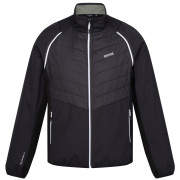 Herrenjacke Regatta Steren II Hybrid grau/schwarz Ash/Black