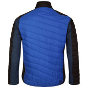 Herrenjacke Dare 2b Descending Jacket