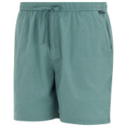 Herrenshorts Regatta Hadlin Shorts