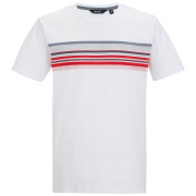 Herren-T-Shirt Regatta Rendro weiß White