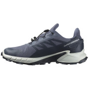 Herren Laufschuhe Salomon Supercross 4 Gore-Tex