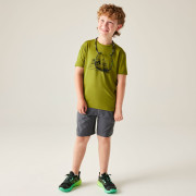 Kinder-T-Shirt Dare 2b Amuse III Tee Goldn Cypress