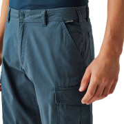 Herrenshorts Regatta Ruwan Shorts