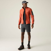 Herrenshorts Regatta Anti-Insect Travel Light Shorts