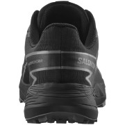 Herren Laufschuhe Salomon Thundercross Gore-Tex