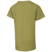 Kinder-T-Shirt Alpine Pro Nogero Green Oasis