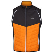 Herrenjacke Regatta Steren Hybrid