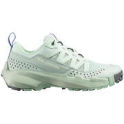 Damenschuhe Salomon Terramphibian W