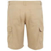 Herrenshorts Regatta Ruwan Shorts