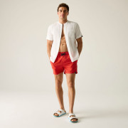 Herrenbadeanzug Regatta Mawson Swim Shorts III