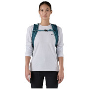 Rucksack Patagonia Black Hole Pack 25L