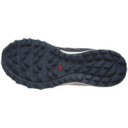 Herrenschuhe Salomon Wander