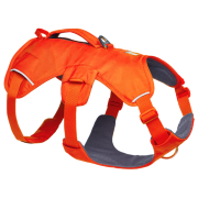 Hundegeschirr Ruffwear Web Master™ Harness orange Blaze Orange