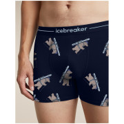 Herren funktionelle Boxershorts Icebreaker Men M 150 Anatomica Boxers BearTourAOP