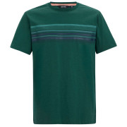 Herren-T-Shirt Regatta Rendro grün Mediterranea