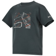 Kinder-T-Shirt Regatta Alvarado Seal Grey