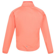 Kinder-Sweatshirt Regatta Jnr Highton LteII