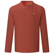 Herren-T-Shirt Dare 2b Agile Long Sleeved Tee braun ArabianSpice