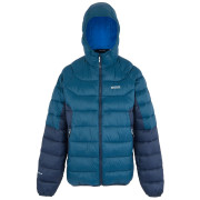 Herrenjacke Regatta Hooded Dalent blau MnlgtDen/Nvy