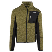 Herren Funktions-Sweatshirt Regatta Alven schwarz/grün NphGrnMrl/Bk