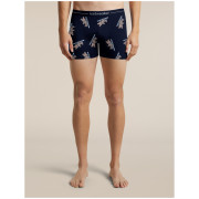 Herren funktionelle Boxershorts Icebreaker Men M 150 Anatomica Boxers BearTourAOP
