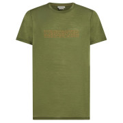 Herren-Funktionsshirt Icebreaker M 150 Tech Lite SS Tee IBCoordinates grün Sphagnum